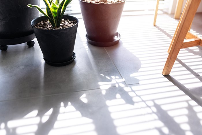 東向きの部屋の窓辺に置かれた観葉植物