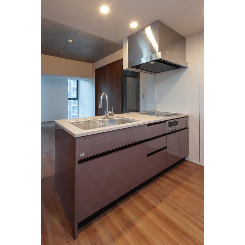 THE AKASAKA RESIDENCE S.O.A. -spirit of akasaka- 5階502